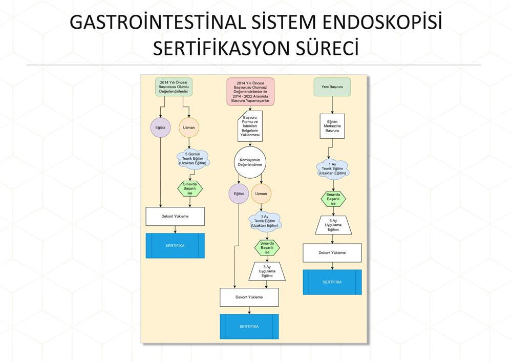 Gastrointestinal Sistem Endoskopisi Sertifikasyon Süreci Hakkında